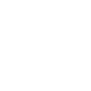 政府和公共部门 Icon