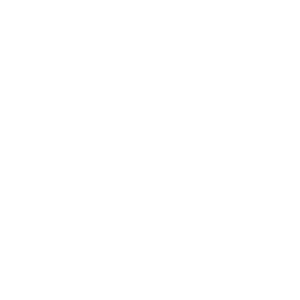 保健 Icon