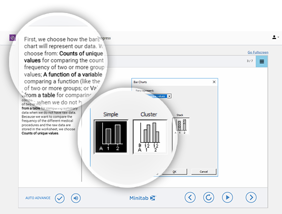 막대 차트와 변수를 설명하는 Minitab Statistical Software